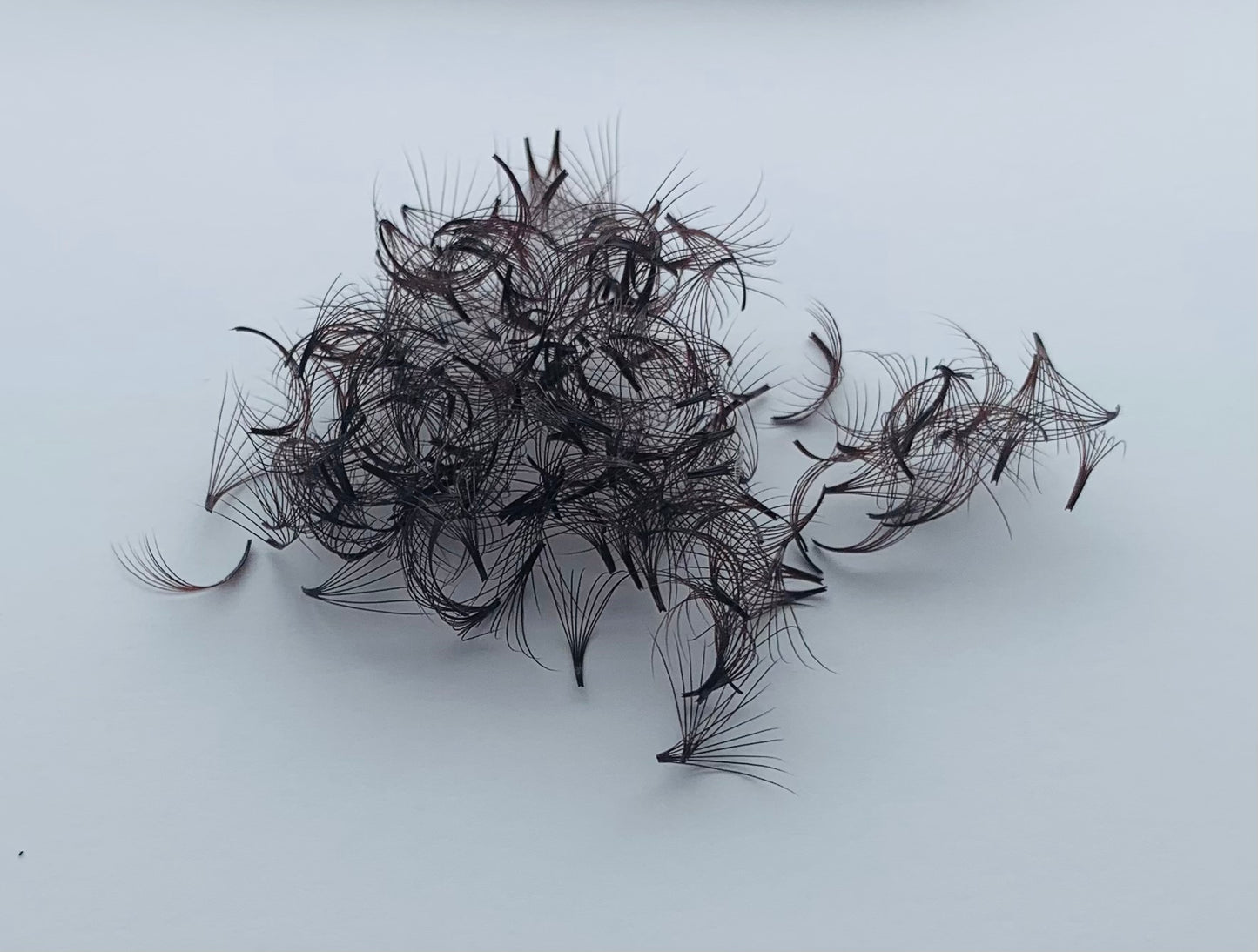 Dark brown promade eyelash extensions 0,07 8D